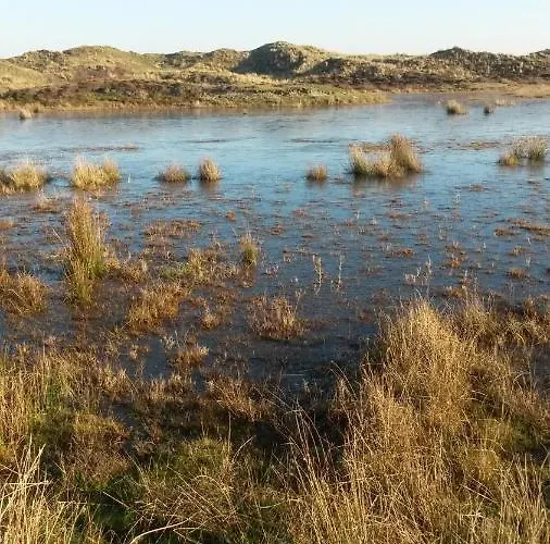 Marijke De Koog (Texel)