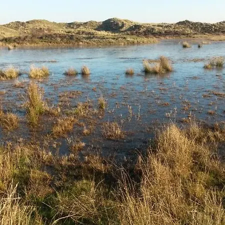 Marijke De Koog (Texel)